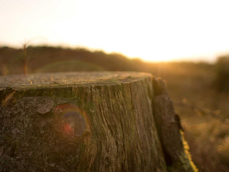 sudoku keyboard shortcuts screenshot 2